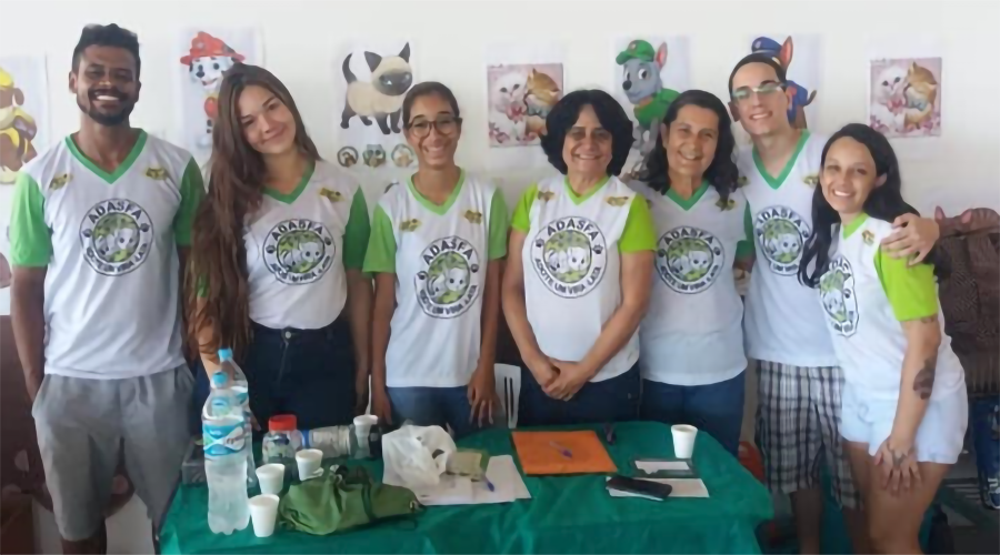 Reiki Multiespécie com Gato