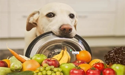 ALIMENTAÇÃO NATURAL