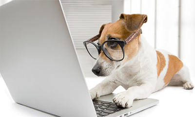 ATENDIMENTO ONLINE