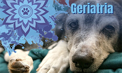GERIATRIA INTEGRATIVA