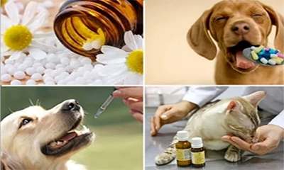 HOMEOPATIA